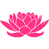 Lotus flower