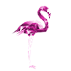 Flamingo Rose
