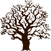 Tree oak