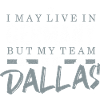 Dallas Football Fans Germany