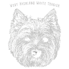 West Highland White Terrier 03