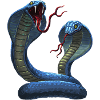 cobra