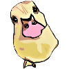 Entlein