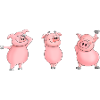 Cochon grassouillet