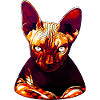 Sphynx cat from hell va