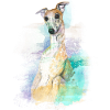 Kunstvoll gemalter Galgo Espanol Hund - Geschenk