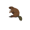 Biber
