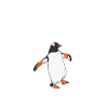penguin