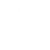 Dove Of Peace