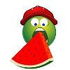 melon