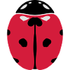 Ladybug