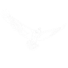 Flying eagle