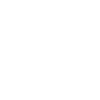 OFFICIAL RAPTOR TRAINER