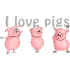Pig "I love pigs"