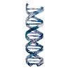 DNA DNA