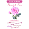 pink rose, flower language