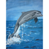 Delphin