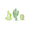 The cacti