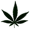 Weed