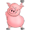 pig