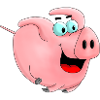 Rennschwein