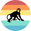 monkey