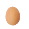 egg