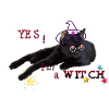 black cat witch