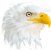 Eagle's Head