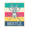Coccinelle rétro "Beetle"