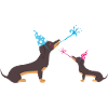Party Pup Dachshund