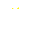 hibou