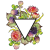 Strawflowers with triangle