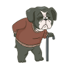 old dog