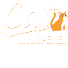 Chat chuchoteur Cadeau amusant