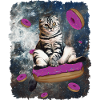 Chat de l'espace