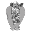 Polygone Rhino