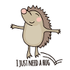 Hedgehog hug gift