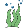 Seaweed