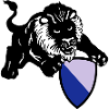 Zurich lion