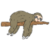 Faultier Faultiere Geschenk Sloth Ast