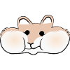 Booby hamster