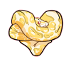 Python heart