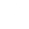 speedminton