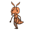ant