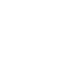 Cobweb with spider