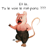 Rat porc