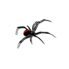 Araignée en 3D - avec ombre