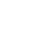 Product Owner