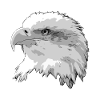 Eagle head